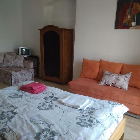 Dvur V Borovne Apartment Borovná Екстериор снимка