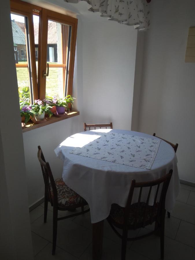 Dvur V Borovne Apartment Borovná Екстериор снимка