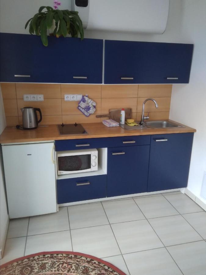 Dvur V Borovne Apartment Borovná Екстериор снимка
